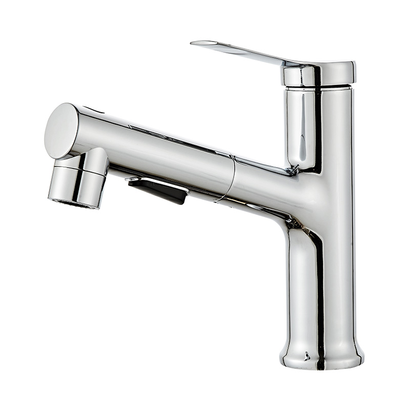 Single-Handle Pull Out Sprayer Basin Faucet