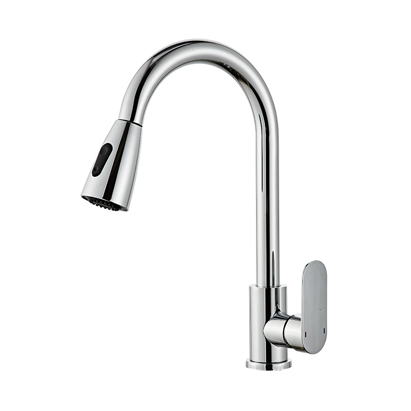 Stainless Steel Handle Kitchen Faucet