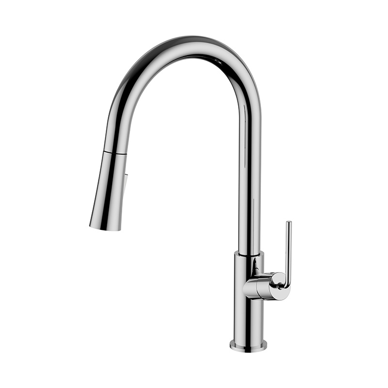 Single-Lever Sink Kitchen Faucet