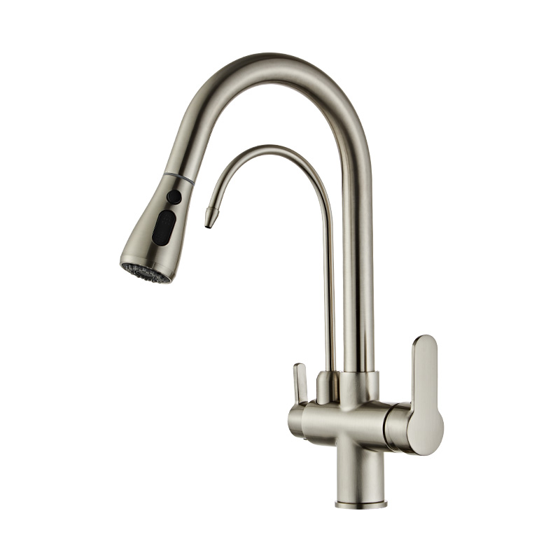 Kitchen Faucet with Drinking Water Faucet