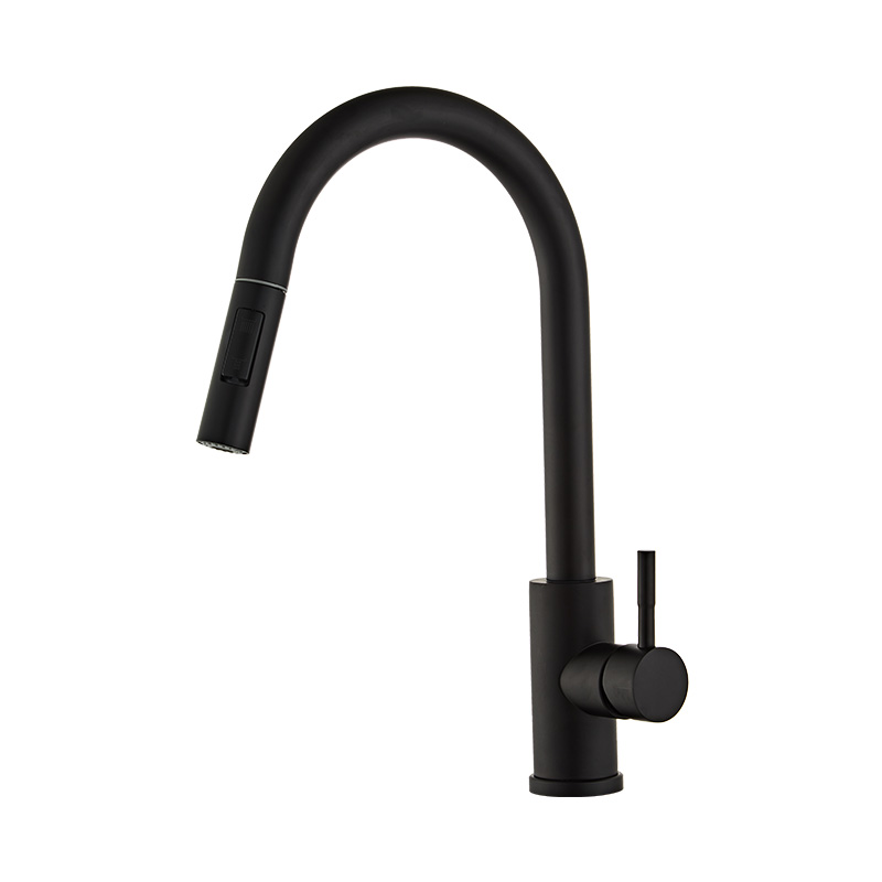 Black Stainless Steel High Arc Kitchen Faucet