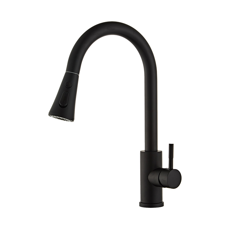 Black Stainless Steel Single Handle Kitchen Faucet