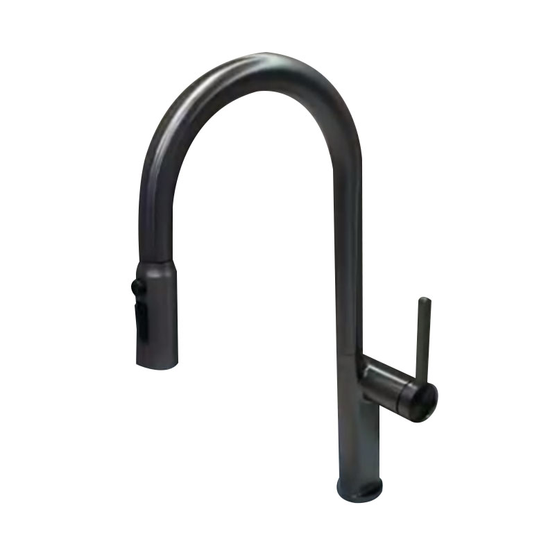 Pull-Out Sink Mixer Kitchen Faucet with Single Handle