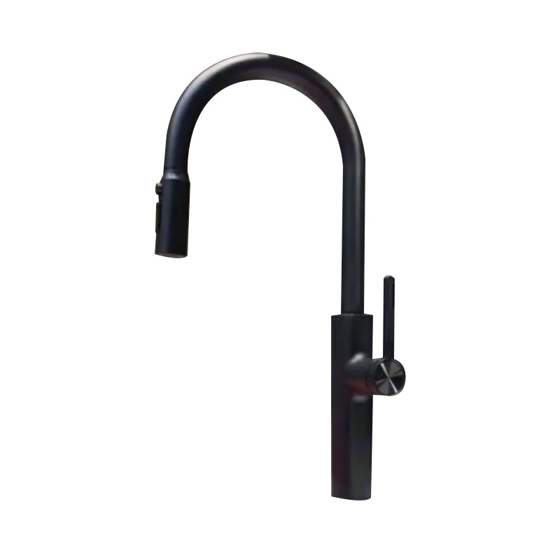 Black Pull-out Kitchen Faucet with Stainless Steel Pipe