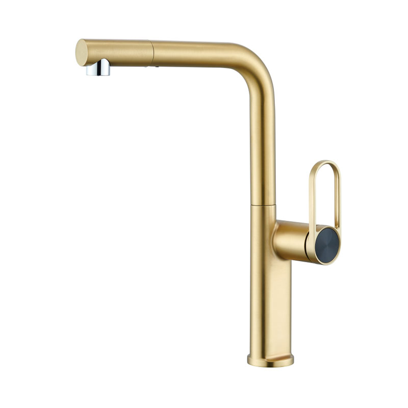 Gold Nozzle Pull-Out Kitchen Faucet